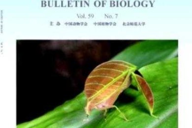 从实验台到期刊投稿：一篇实验研究类论文的诞生全攻略