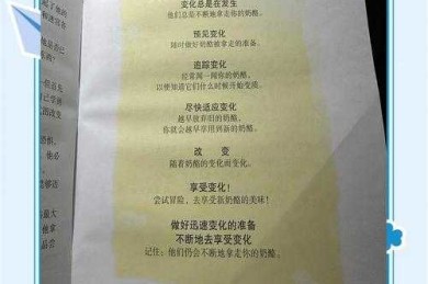 别再为前言发愁了！论文前言怎么写奶酪的完整指南，让你的研究脱颖而出