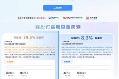 突破写作迷茫：论文TS是什么部类，你的学术导航神器