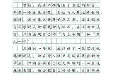 当我们在谈论“财富议论文范文”时，我们究竟在谈论什么？一项关于学术写作范式的探索