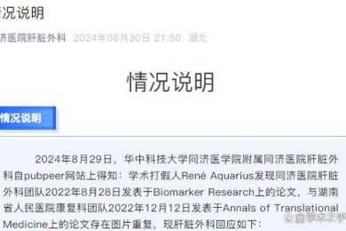 论文如何算剽窃论文数量：一个被忽视的学术研究领域