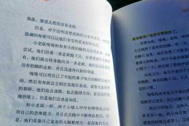 从寓言到思辨：《谁动了我的奶酪》在议论文写作中的多维应用研究