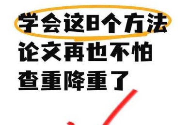 当算法成为判官：重新审视“论文查重有什么问题吗”这一核心关切