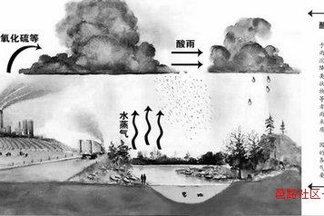 酸雨现象的科学探索：一篇论文背后的环境故事