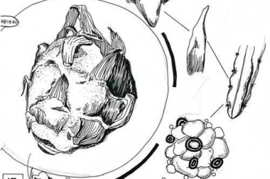 水果基地论文从入门到高分：一个实战派研究者的保姆级拆解