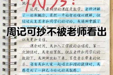 从焦虑到高效：本科论文周记怎么写才能让导师眼前一亮？