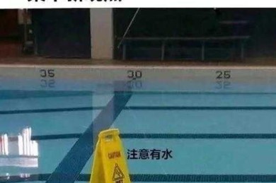 别再为论文图片发愁了！资深学术狗教你如何做毕业论文上的图片