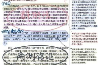 从教学实践透视：什么样的议论文结构最易掌握