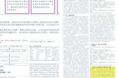 揭秘论文评价的核心指标：论文他引率是什么意思？