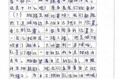 什么是体育的议论文作文