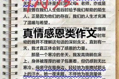 别被套路困住手脚：议论文感恩怎么写才能真情实感打动人心？
