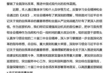 政治语境下的学术表达艺术：“请党放心论文摘要写什么”的破题指南