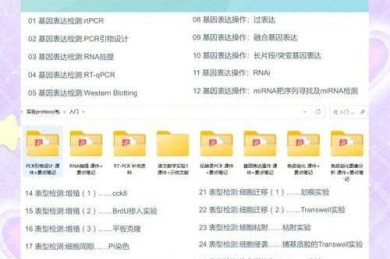 解密论文中的“sp”：一个让新手不再懵逼的老手分享