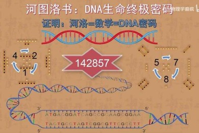 你的研究DNA：解构论文的独立性密码