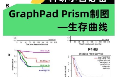 从零开始掌握学术绘图：科研小白的可视化生存指南