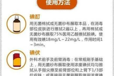 想写好宠物会展论文怎么写？这份超详细指南请收好！