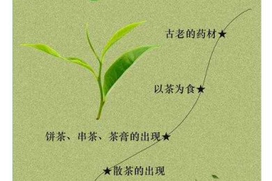 茶香里的学术密码：手把手教你产出科学饮茶高质量论文