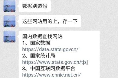 别踩坑了！如何查找论文数据：让学术小白变身老司机的通关秘籍