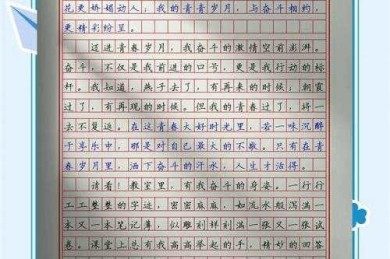当00后开始写议论文：青春需要什么议论文才能打动Z世代？
