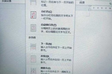 论文排版冷知识：怎么改变论文页码颜色？90%的人不知道的Word隐藏功能