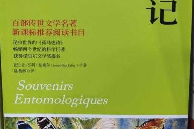 绿色出行论文从零到发表：实用写作框架与避坑指南