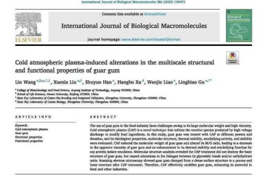 当学术成果不翼而飞：论文泄露的隐秘路径与防御指南