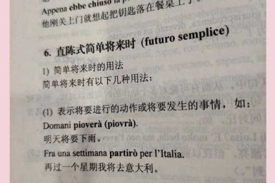 从零开始掌握：意大利语论文怎么说才能让导师眼前一亮？