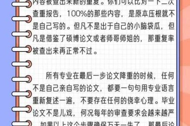 别再让模糊截图毁了你的论文！这是你需要的“论文截图不清晰怎么办”终极解决方案