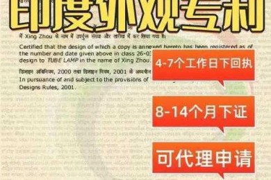 怎么下载印度专利论文