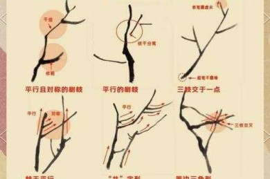 从技法到意境：工笔梅花论文怎么写才能既有深度又打动读者？