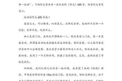 搞定足球论文so easy！足球小结怎么写论文网站深度解析