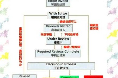 论文内容如何审核：构建科学自查体系与同行评议全攻略