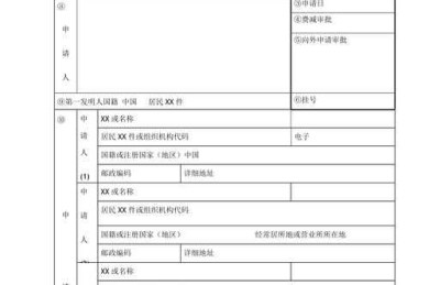 专利类的论文怎么写