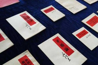 在图书馆熬了通宵才懂：论文文献是什么意思？这层窗户纸今天帮你捅破！