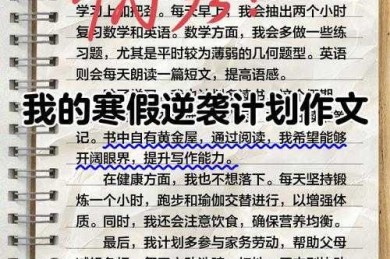 假期价值的范式转移：一篇关于如何度过假期议论文的批判性探索
