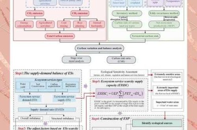 当泰勒制遇见学术写作：一个结构化工科论文写作框架实测
