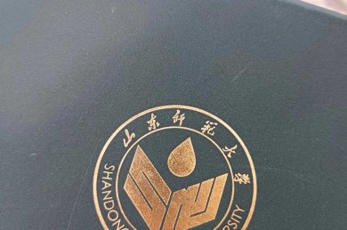 校徽插入竟成论文隐形扣分项？这3个雷区90%硕博都踩过！