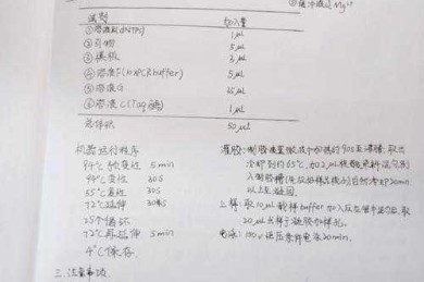 当你的实验数据堆成山时，别慌！论文中的结果怎么写才能征服审稿人
