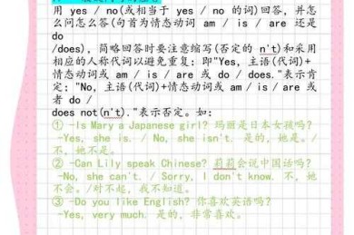 被忽略的真相：解码英语议论文句子的基因密码