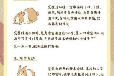 研究宝妈必看！兔妈妈的妈怎么写论文？保姆级攻略来了