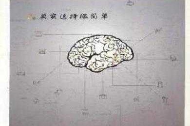 从投稿到发表：通讯论文有什么特点？资深研究者为你拆解核心要素