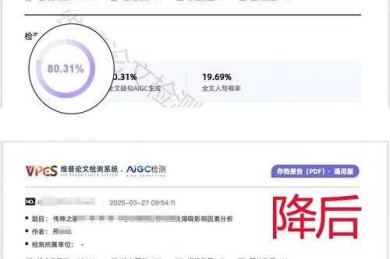 如何测论文复制粘帖率