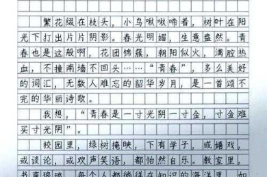 解构青春叙事：关于“什么是少年的模样议论文”的学术探索与写作实践