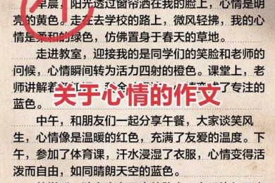 当理性遇见感性：解密议论文写作中的情绪崩溃现象