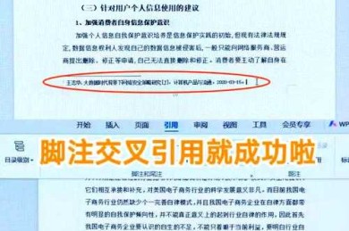 终于有人说明白了！论文脚注线怎么加，导师最爱的学术细节