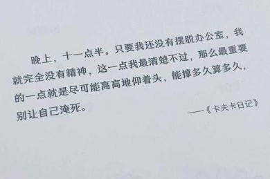 终于解锁了：哲学论文怎么写？一份让卡夫卡都点赞的指南
