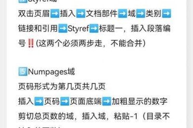 别再被格式搞崩溃！wps论文页眉页脚设置页码怎么设置？这篇终极指南救星来了