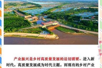 县域经济突围：凤岗县产业升级与可持续发展路径实证研究