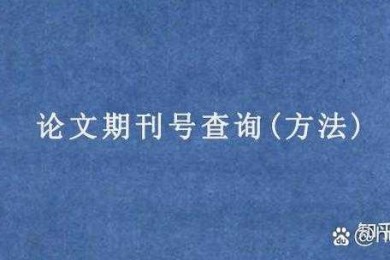 怎么查论文的刊号