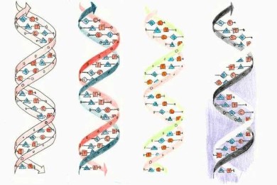 解码论文的隐藏语言：从新手到高手的察言观色指南